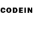 COCAIN VHQ Vladlen Gylypkylov