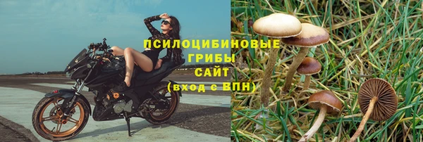 индика Нефтегорск