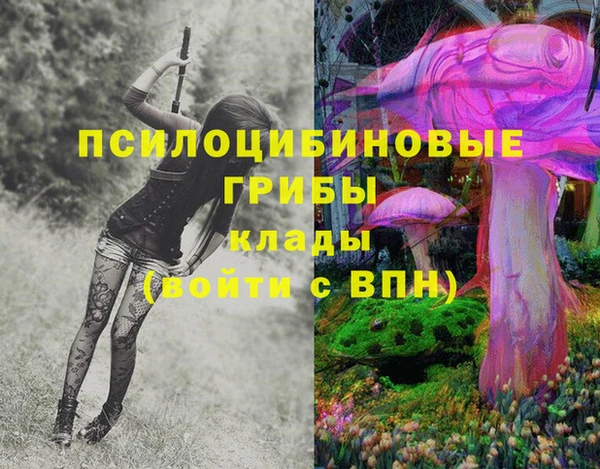 бошки Наволоки