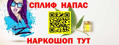 гидра Кандалакша