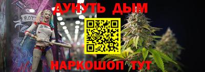 гидра Кандалакша